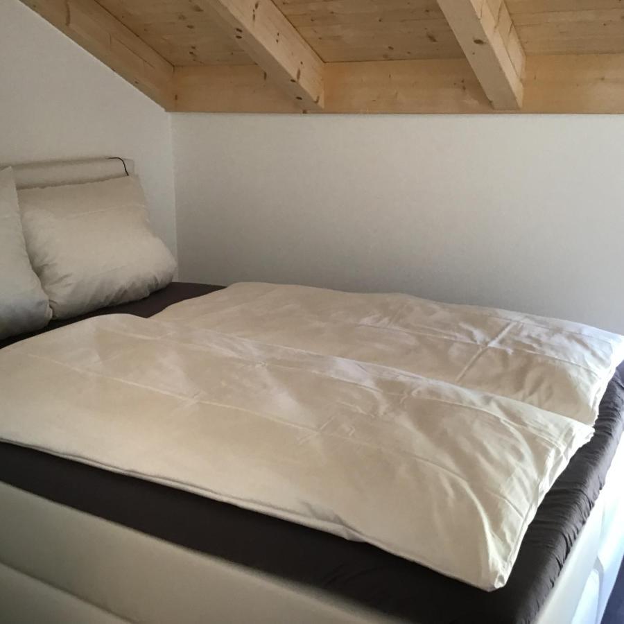 Апартаменты Vista-apartments Ebersbach (Bavaria)